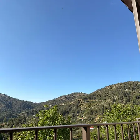 فندق Pine